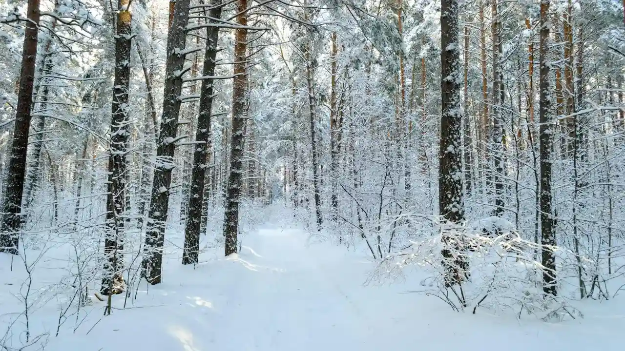 Best countries to visit in January from India