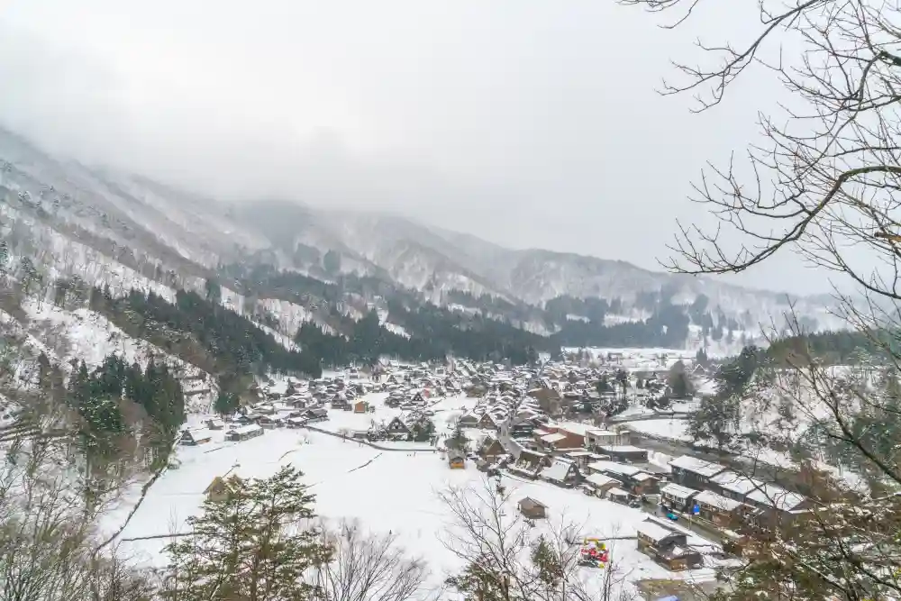 Darjeeling in Winter.webp