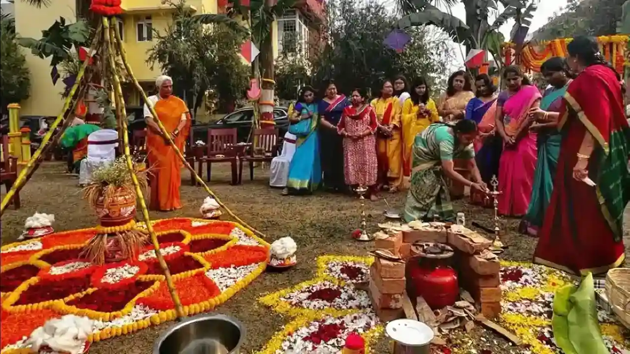 Pongal Festival
