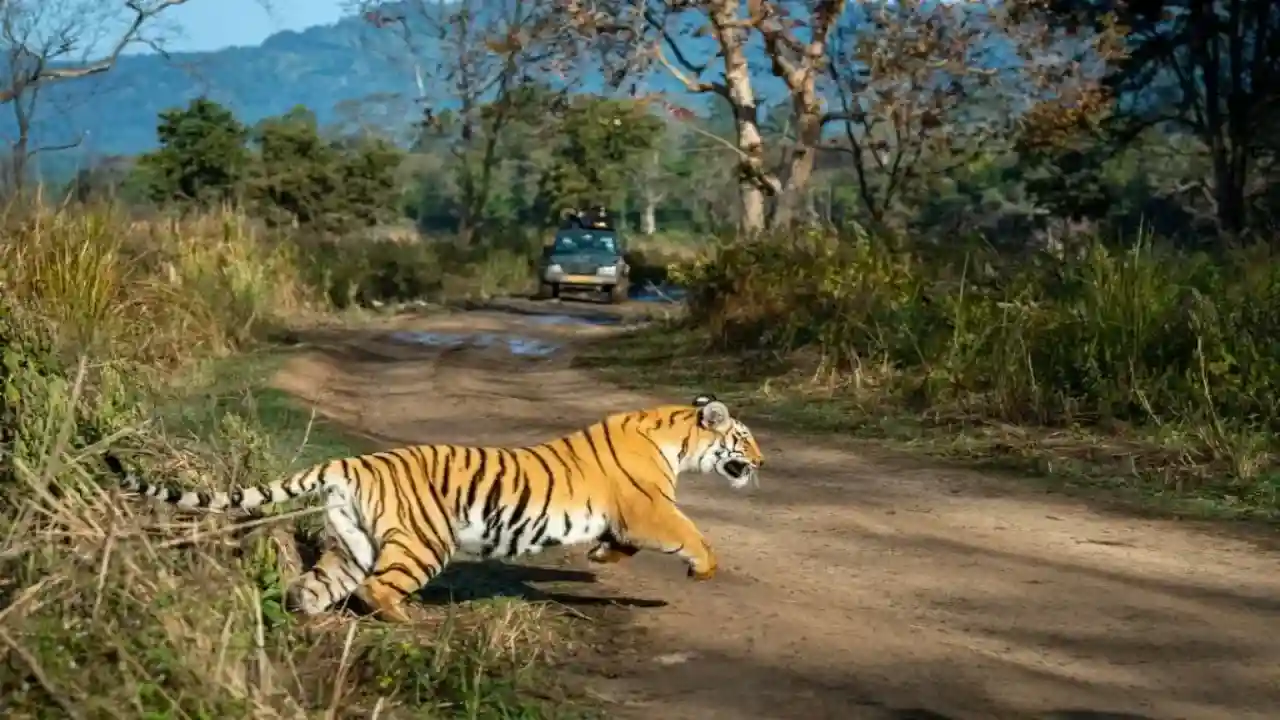 Sathyamangalam Wildlife Sanctuary: