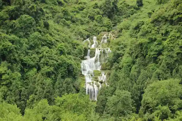 Places To Visit In Mahabaleshwar