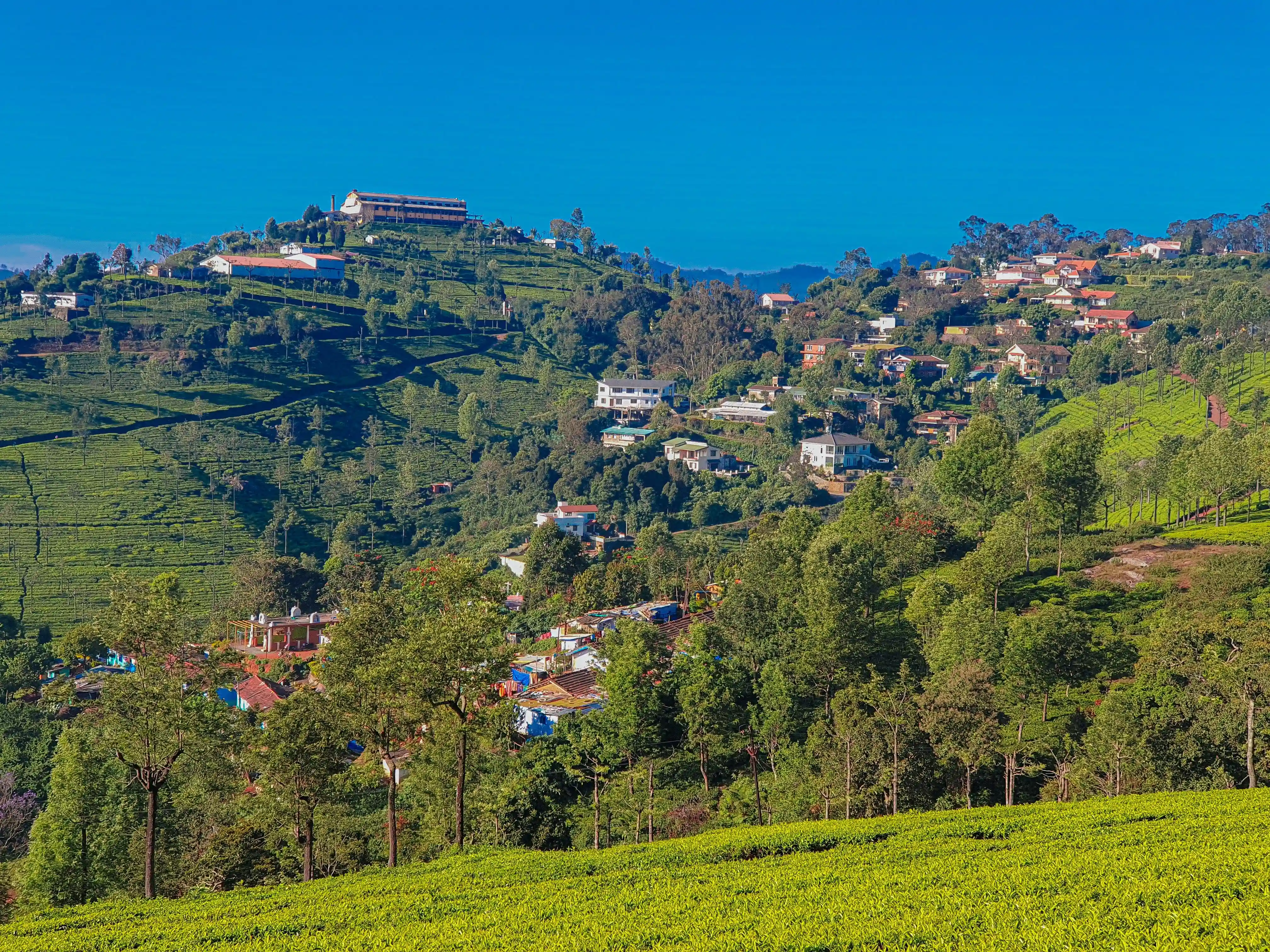 Places To Stay In Ooty