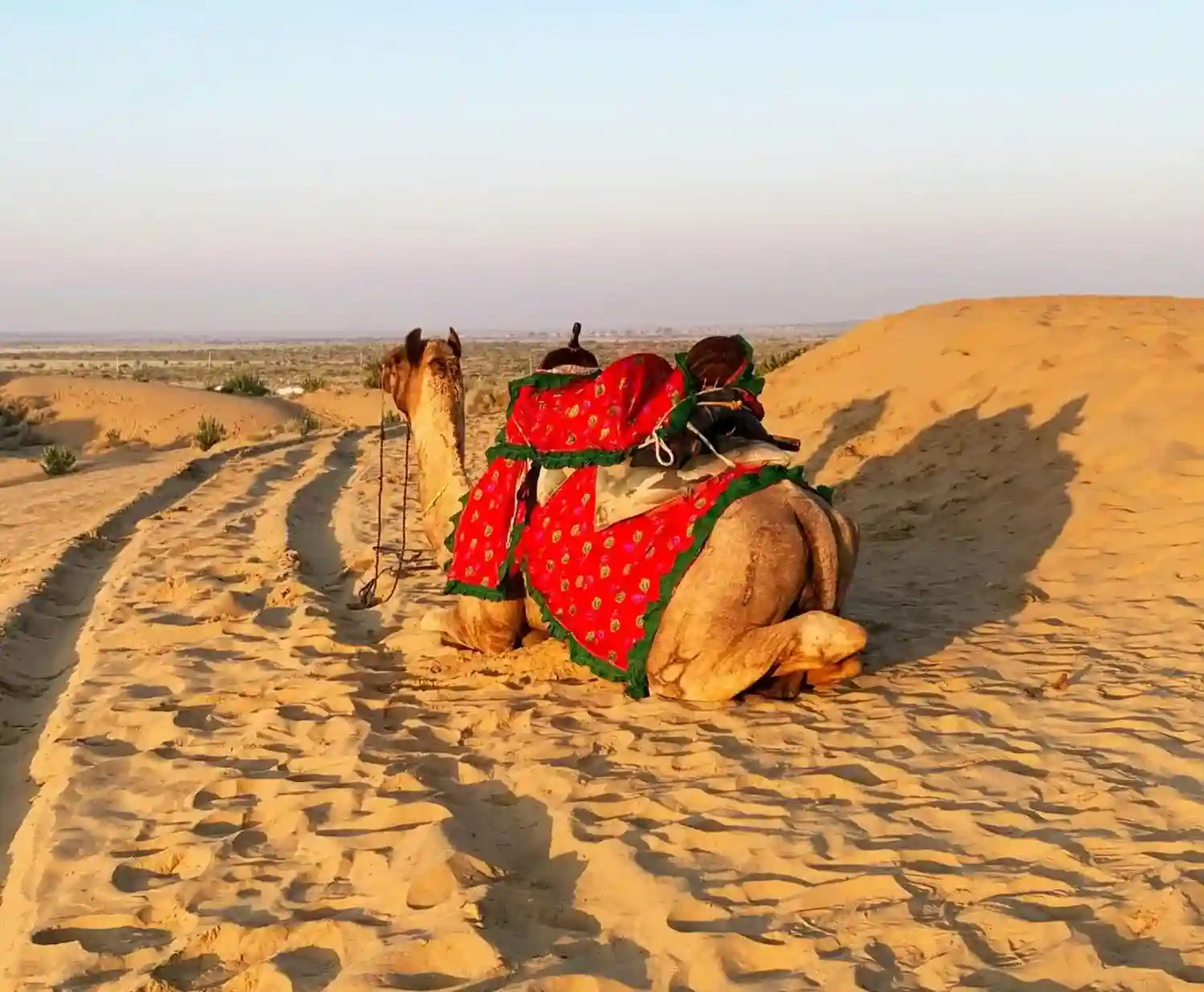 Jodhpur Jaisalmer 4n 5d