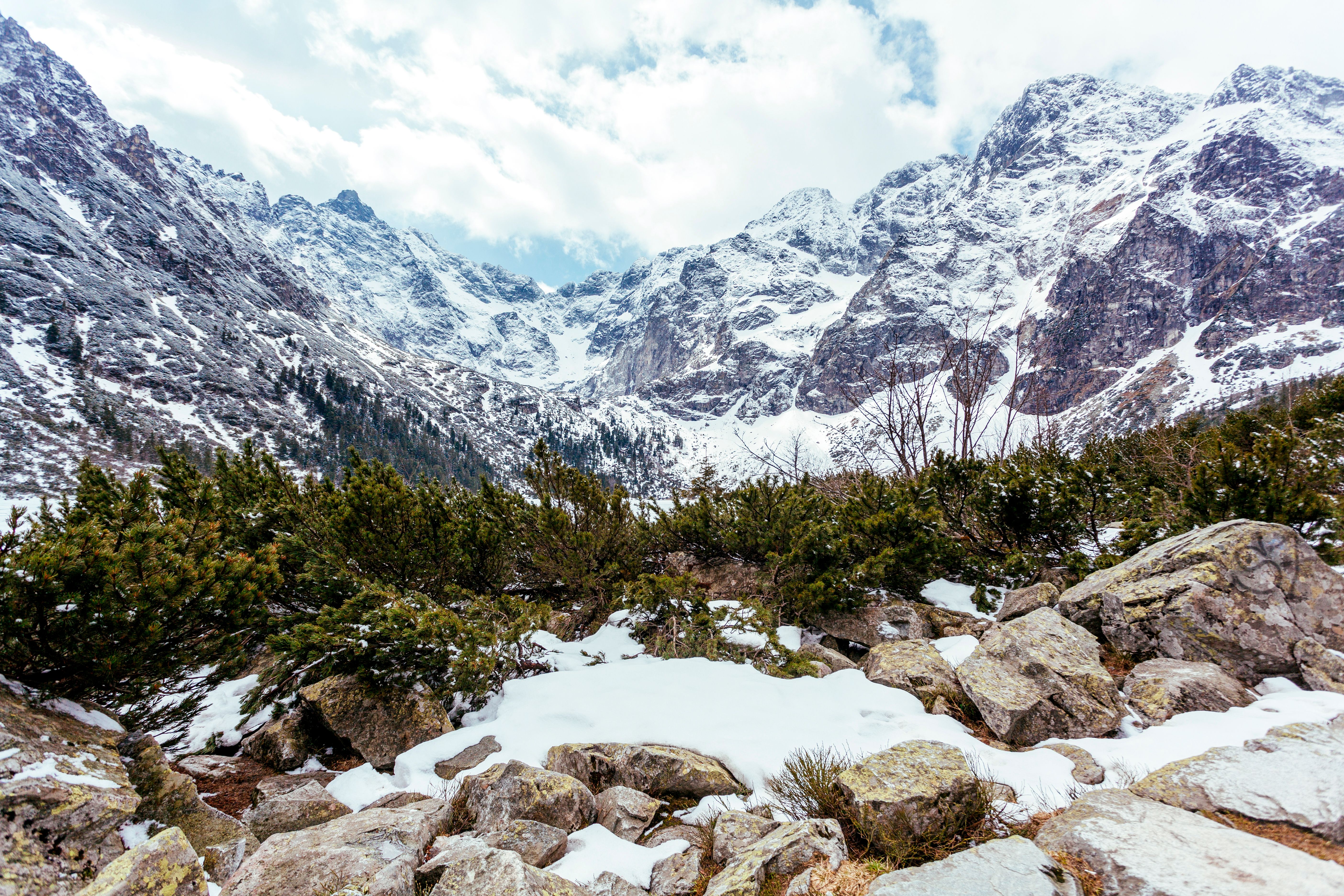 Kashmir in August