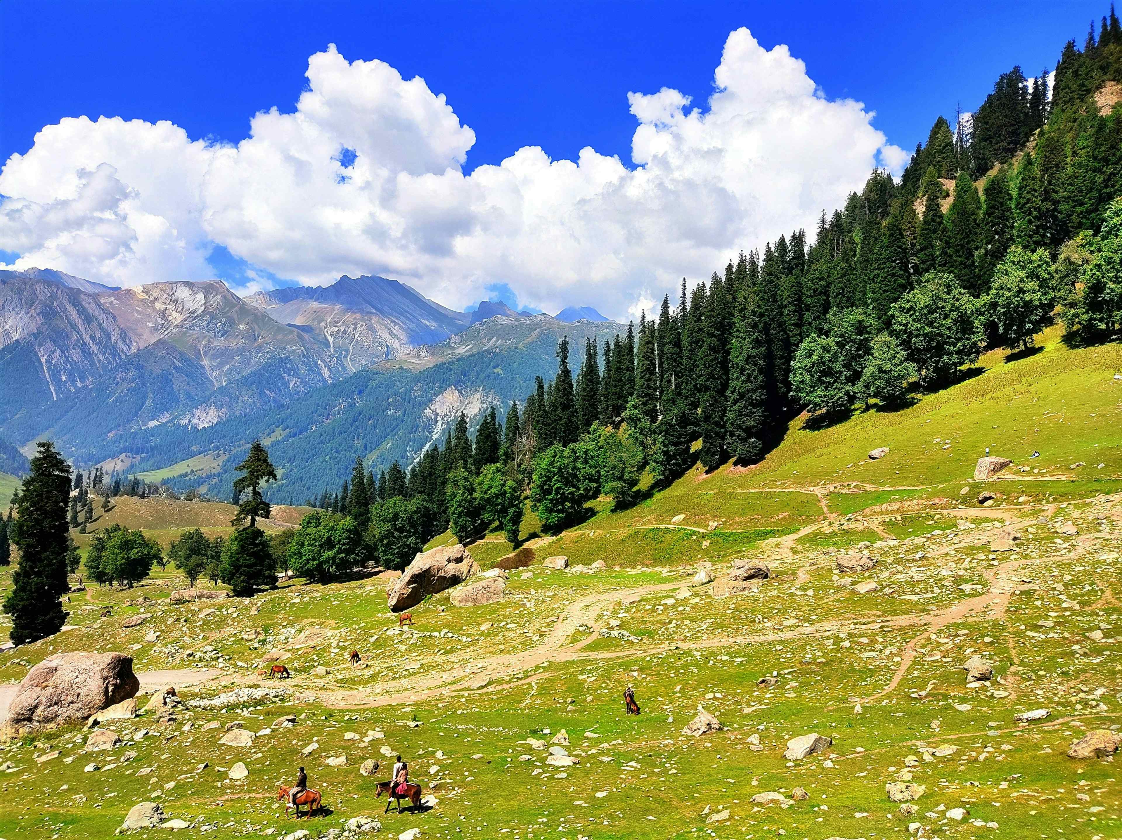 Kashmir in September