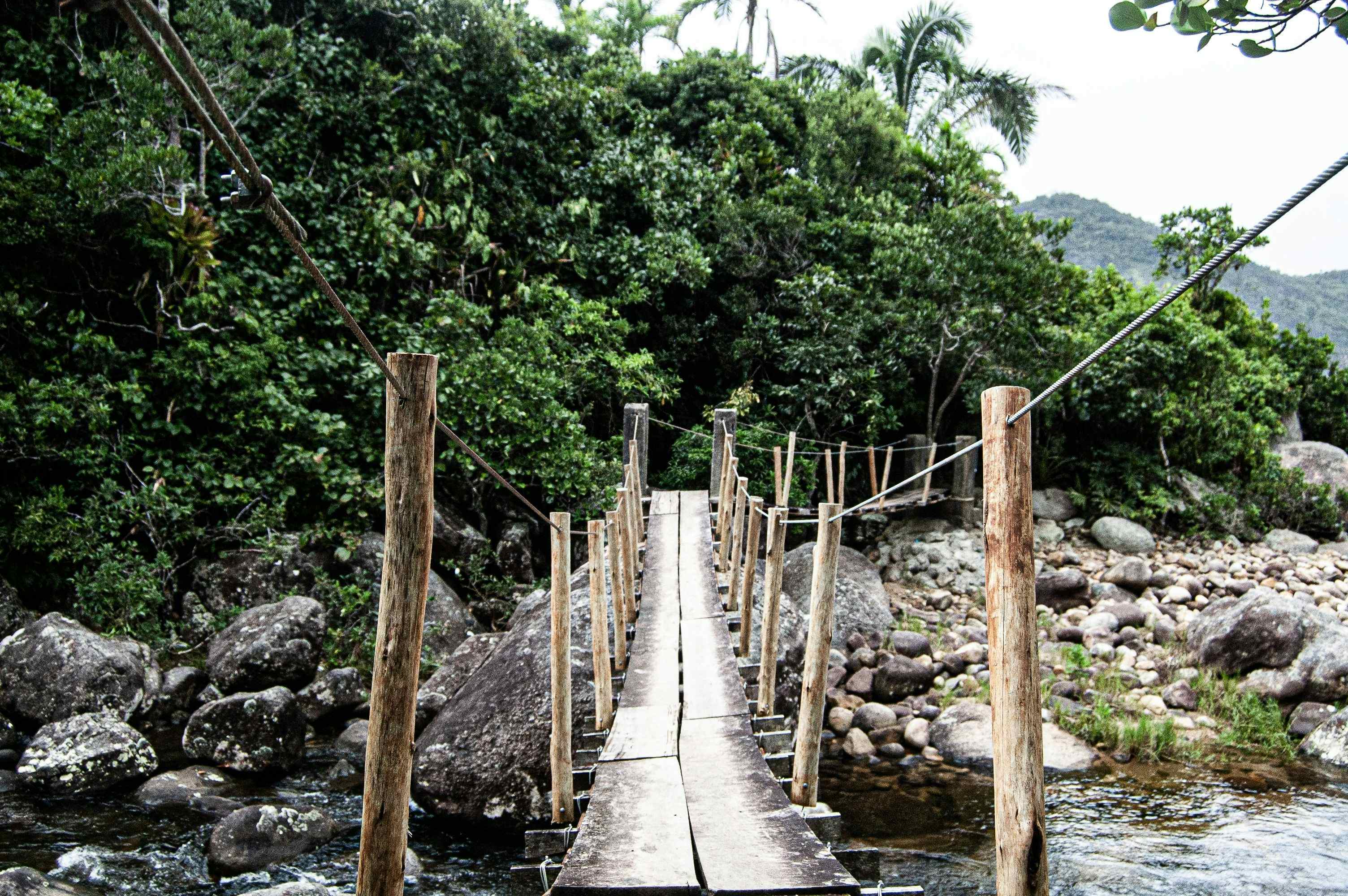 Living Root Bridges Meghalaya