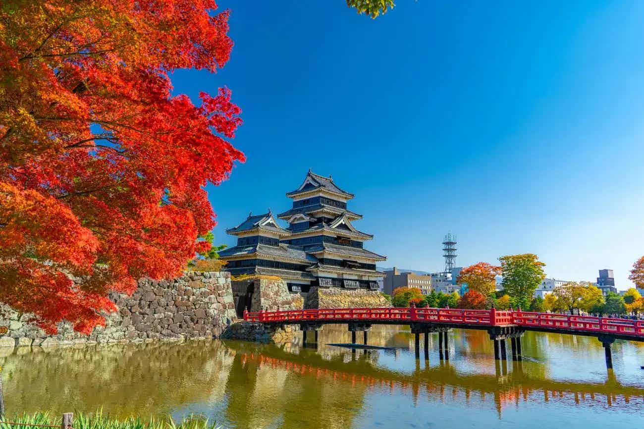 Discover Japan (With Flights)