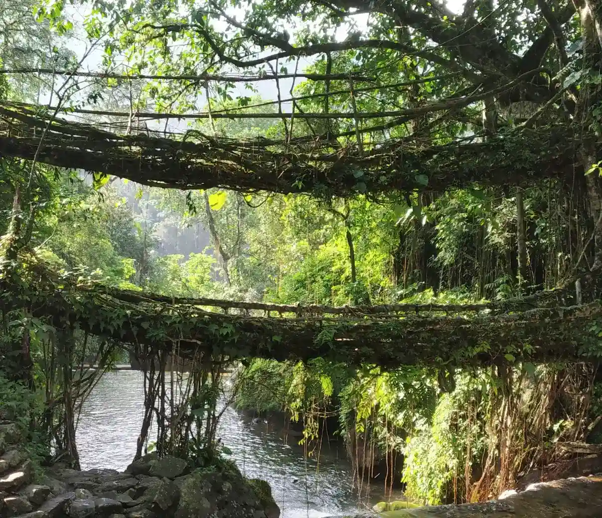 Meghalaya Backpacking Christmas and New Year Trip